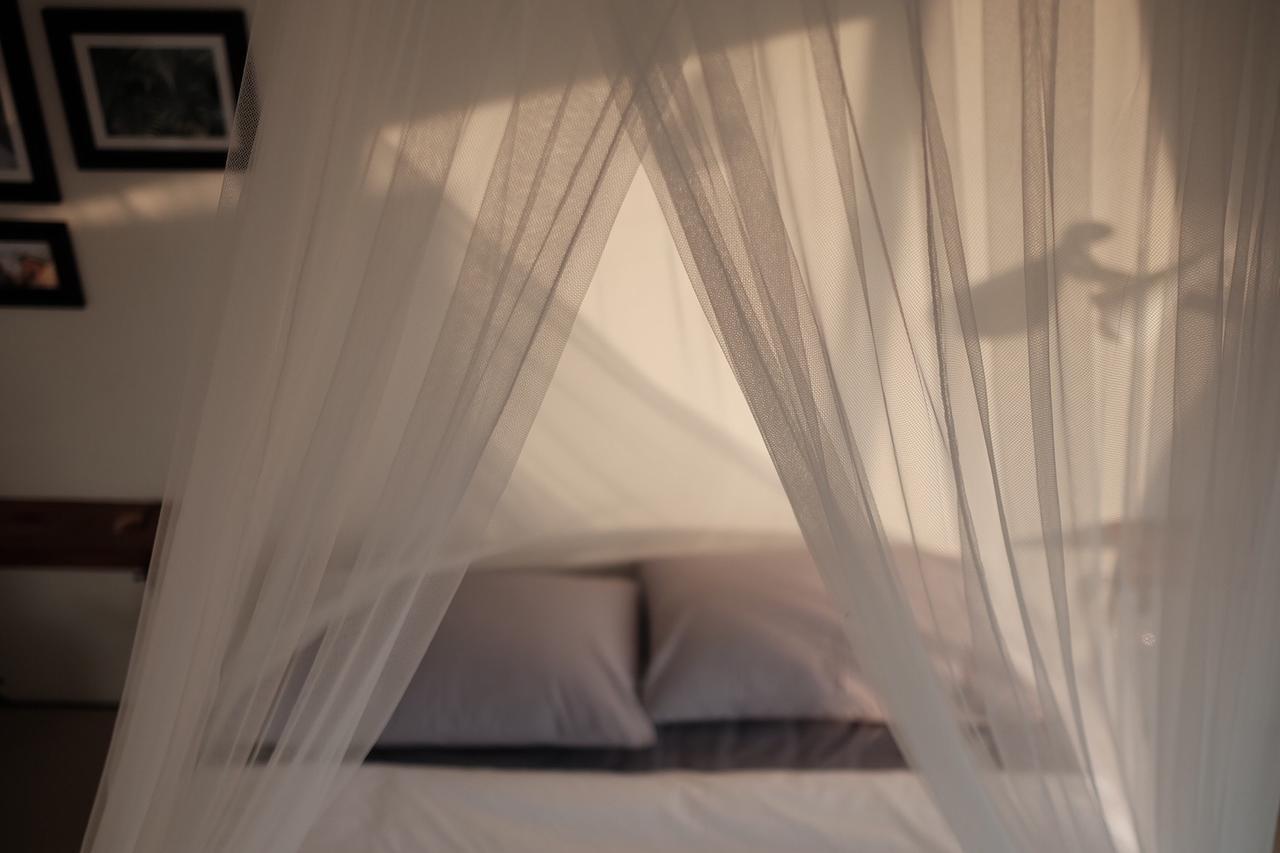 Bed and Breakfast Mountscene At Cervidae Чиангмай Экстерьер фото